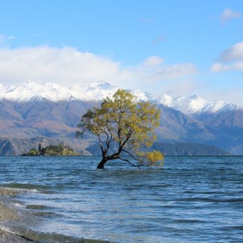 Lake Wanaka